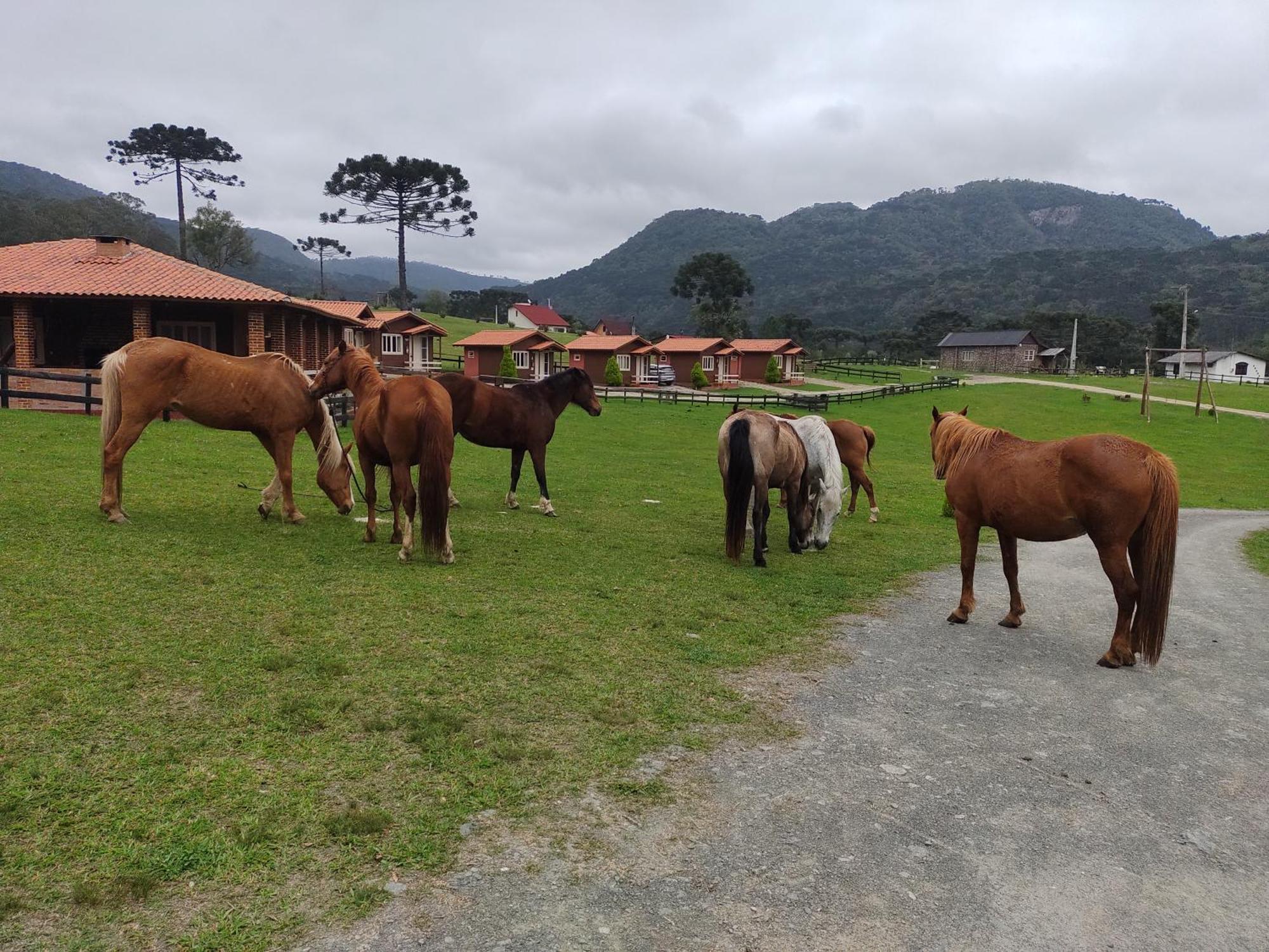 מלון אורוביסי Sitio Rancho Crioulo מראה חיצוני תמונה